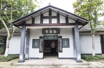 非洲菊