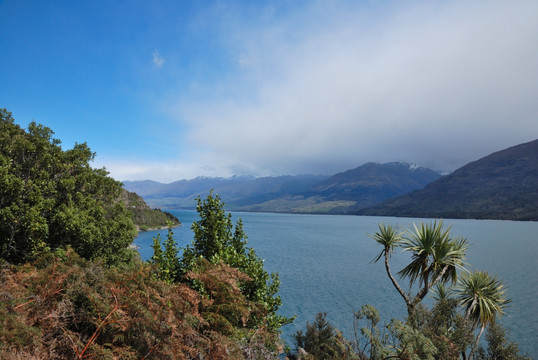 新西兰哈威亚湖区风景