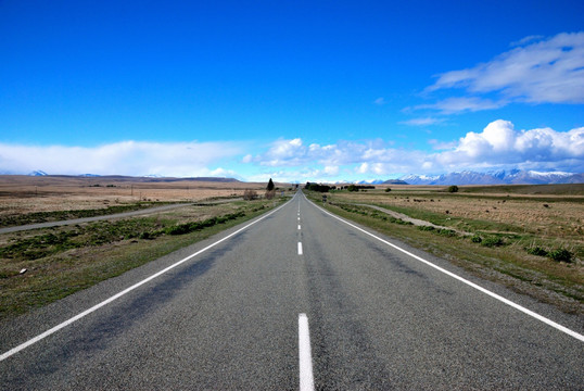 新西兰公路风景
