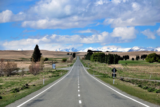 新西兰公路风景