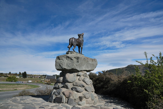 新西兰牧羊犬雕塑