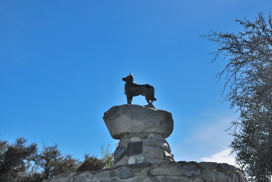 新西兰牧羊犬雕塑