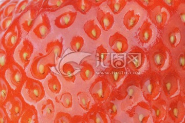 草莓 草莓皮