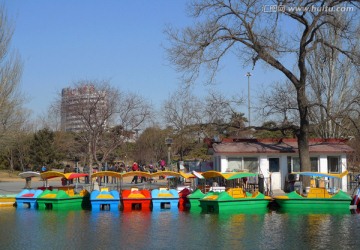 公园里的游船