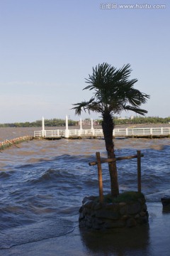 上海 淀山湖 休闲场所 湖畔