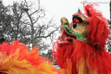 春节庙会上的狮子