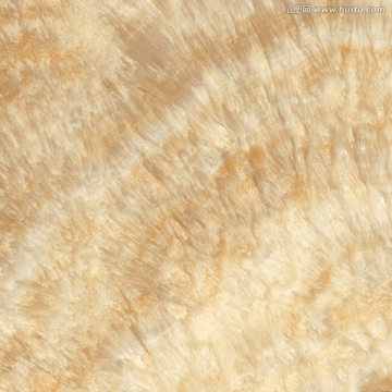 贝壳石纹