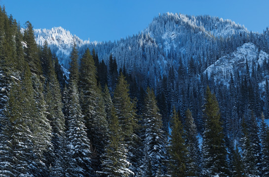 风雪天山 果子沟风景