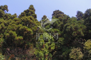 南岳衡山风景区