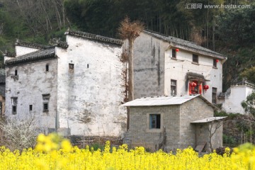 春天 油菜花 徽派建筑