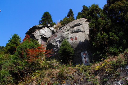 狮子岩石刻