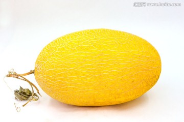 哈密瓜
