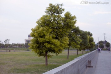 上海 临江公园 现代建筑 道路