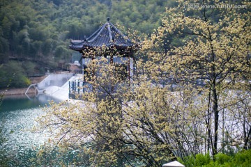 天目湖 南山竹海 江苏 风景区