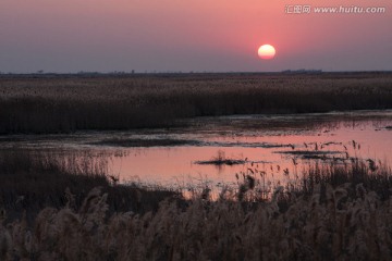 湿地日暮