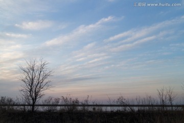 湿地 枯树 蓝天白云