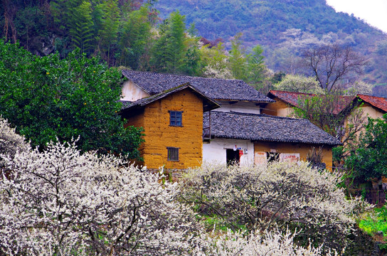 山村 民房