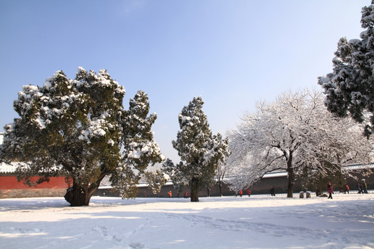 雪景