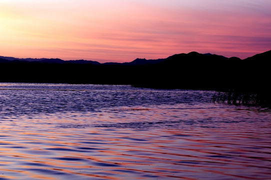 日出前的野鸭湖