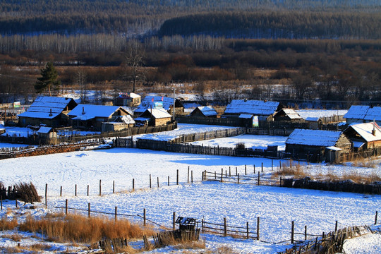 东北村庄雪景图