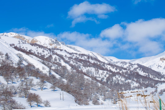雪山 山脉