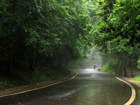 雨中游