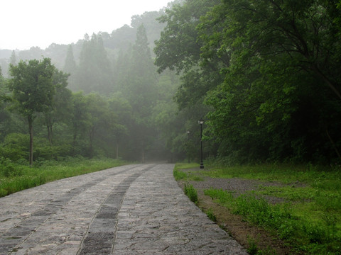 森林公园石板路