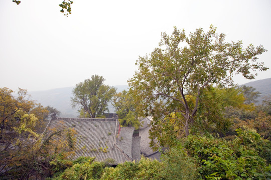 寺庙建筑 花果山 古迹 海宁寺