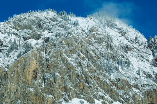 雪山 高原