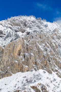 高山 岩石