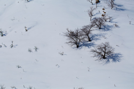 雪山 雪地