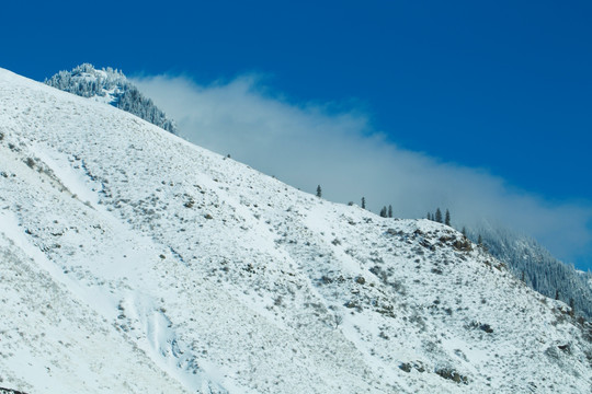 雪山