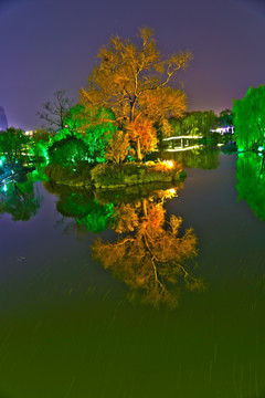 明湖夜景
