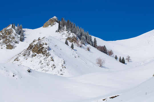 雪景