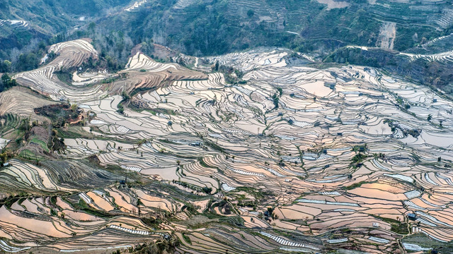 云南元阳哈尼梯田