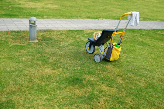 草地上的婴儿车