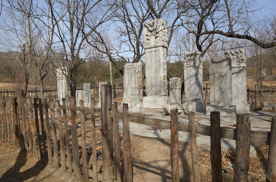 北京植物园碑林jpg