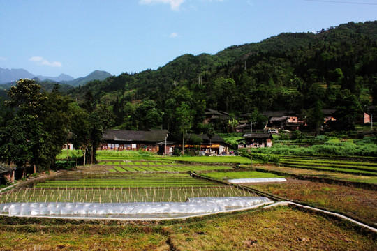 荥经 乡村风光