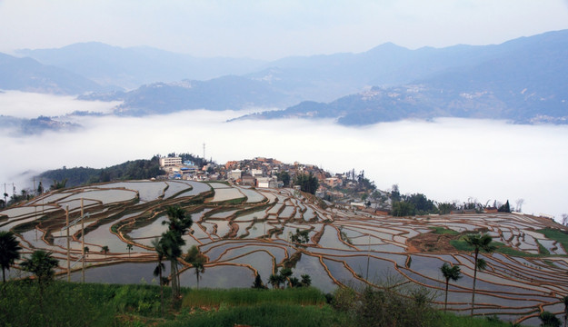 红河梯田