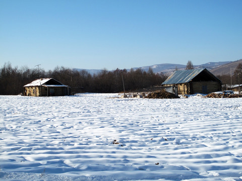 雪原村庄