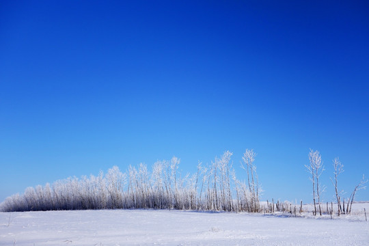 雪原