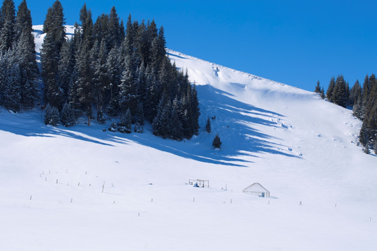 雪景 雪山
