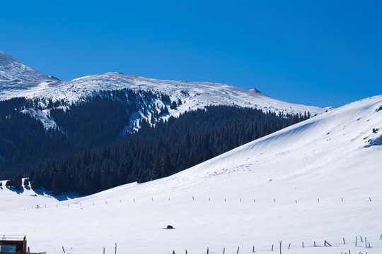 天山雪景