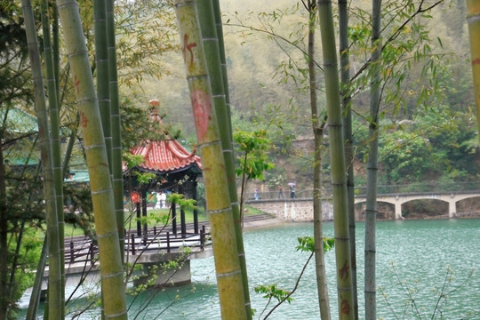 江苏 宜兴 户外 竹海风景区
