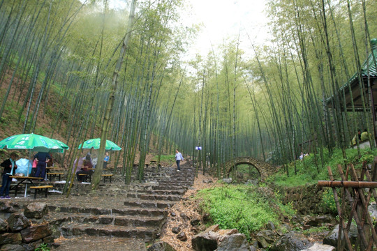 江苏 宜兴 户外 竹海风景区