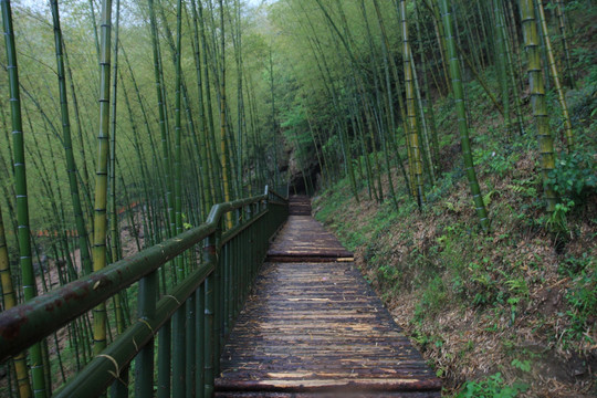 江苏 宜兴 户外 竹海风景区