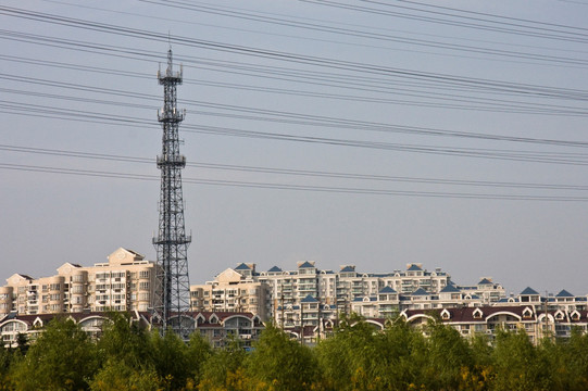 上海 浦东 都市 现代建筑