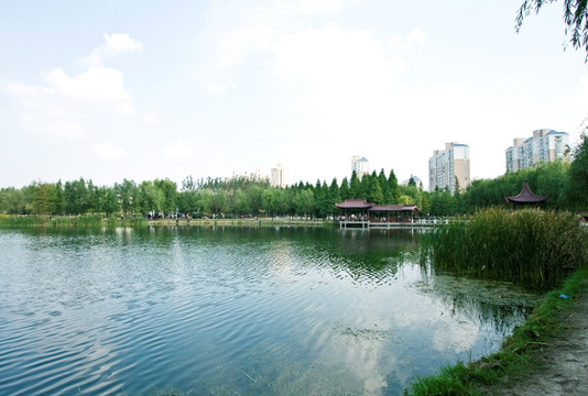 上海 浦东 金桥公园