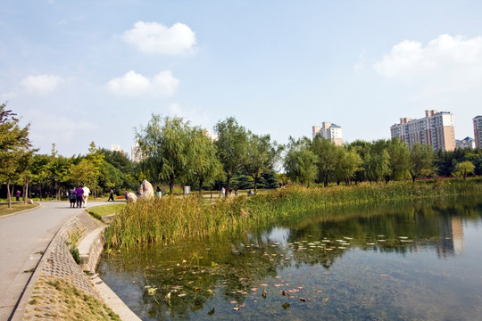 上海 浦东 金桥公园