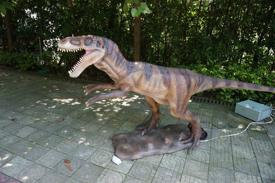 恐龙模型 恐龙 模型 长沙 龙